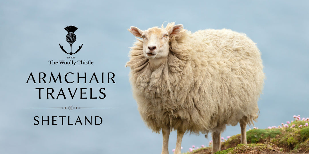 Armchair Travels: Shetland - Meet the Sheep
