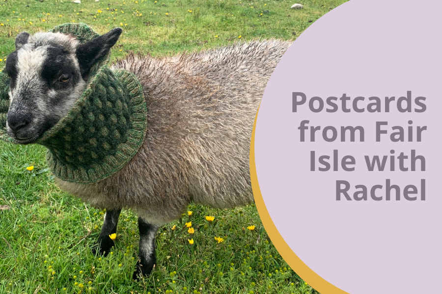The Woolly Thistle blog, "Postcards from Fair Isle with Rachel"