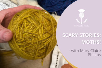 Scary Knitting Stories: Moths! and how to avoid them