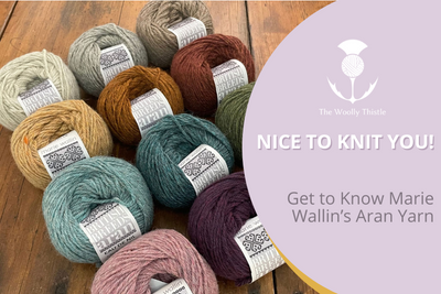 Nice to Knit You! Get to Know Marie Wallin's Aran