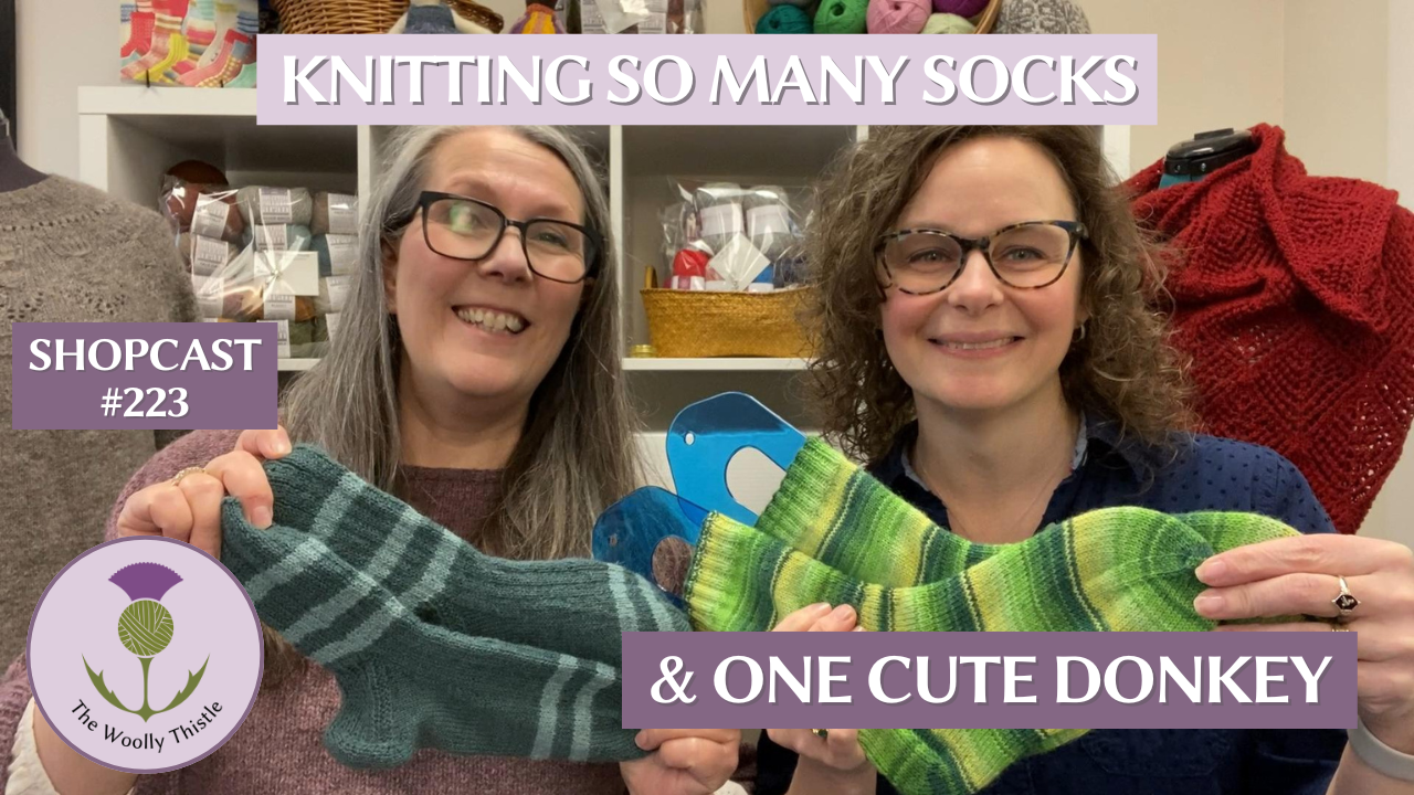 Shopcast #223 - Knitting So Many Socks and One Cute Donkey – The Woolly ...