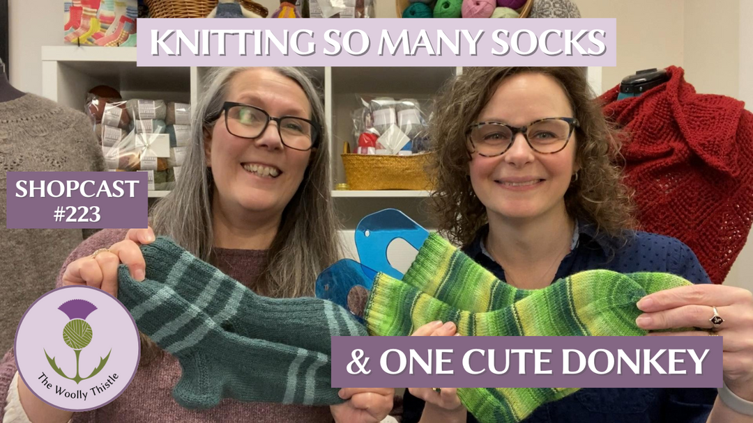 Shopcast #223 - Knitting So Many Socks and One Cute Donkey