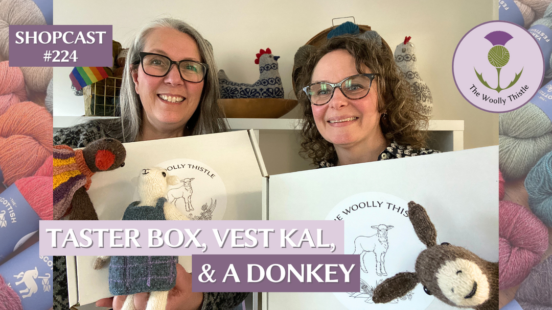Shopcast 224: Taster Box, Vest KAL, and a Finished Donkey