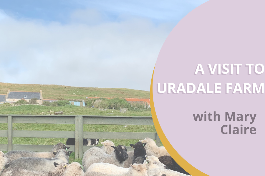 A Visit to Uradale Farm with Mary Claire