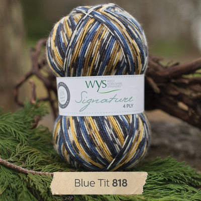WYS Signature 4 ply, Country Birds