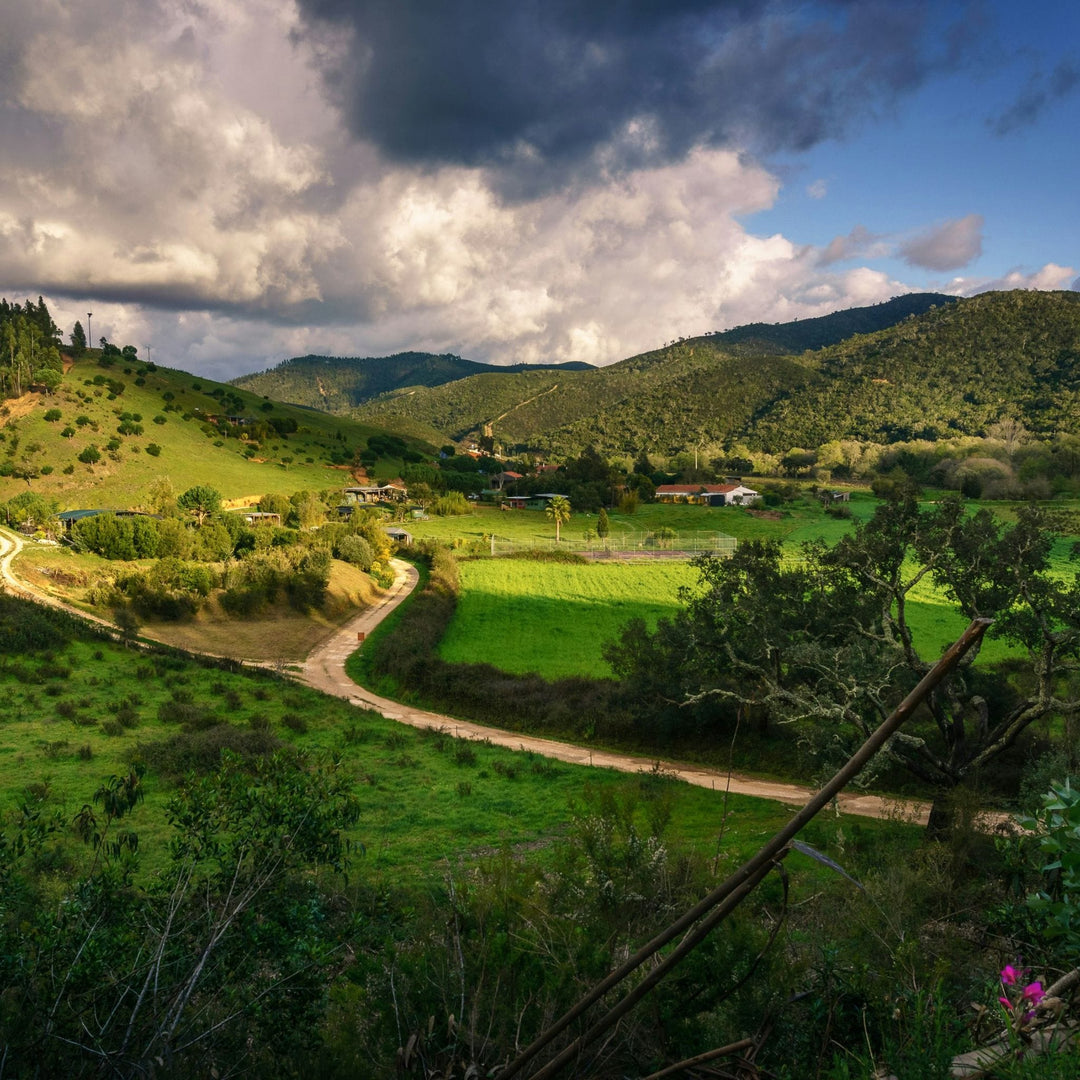 Scenic view of landscape in Portugal