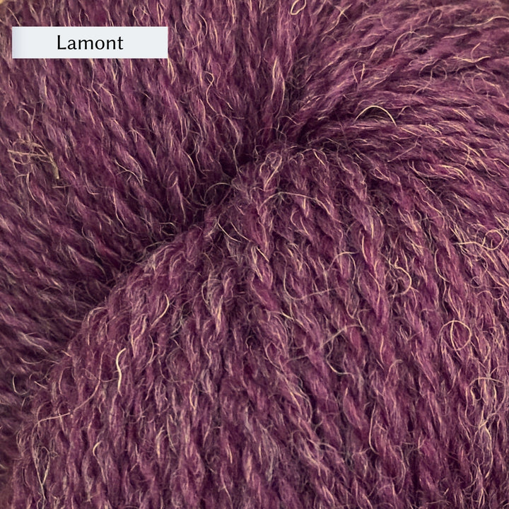 The Scottish Wool Company 4ply