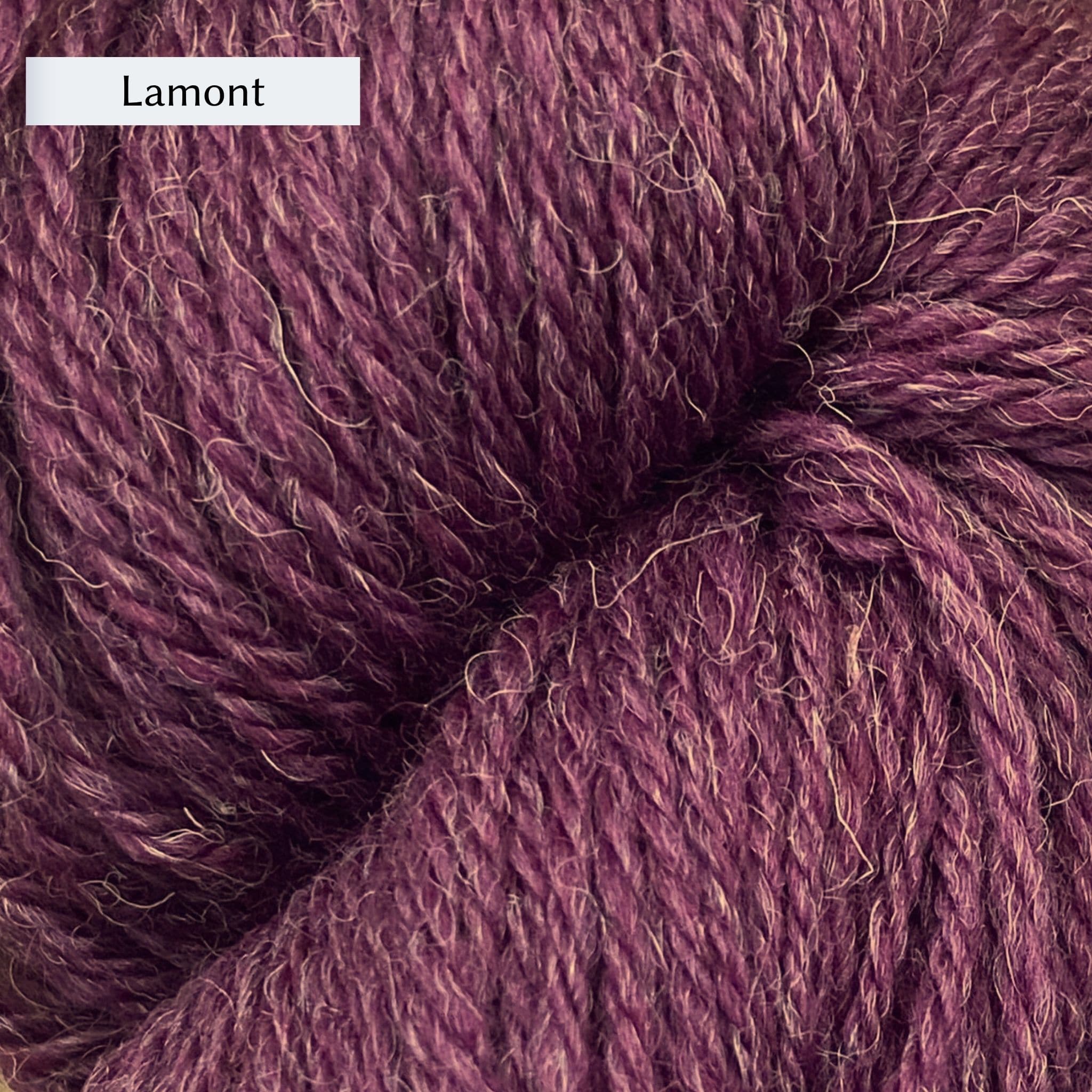 The Scottish Wool Company DK