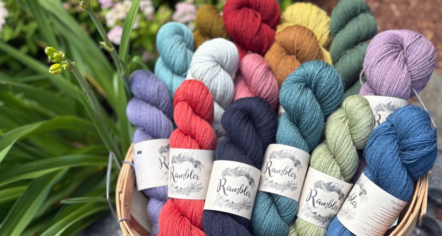 Assorted colorful yarn skeins in a basket with plants in the background. Yarn is Rambler by The Woolly Thistle.