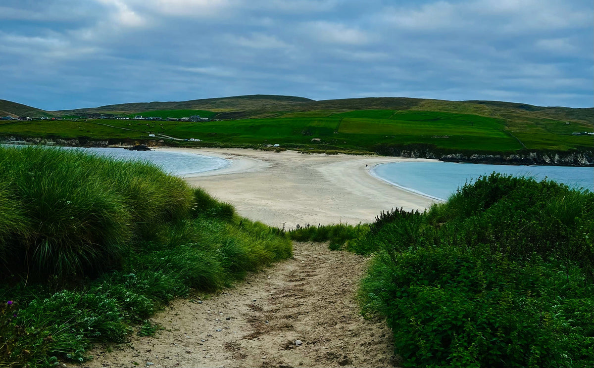 shetland landscape with sea and pasture