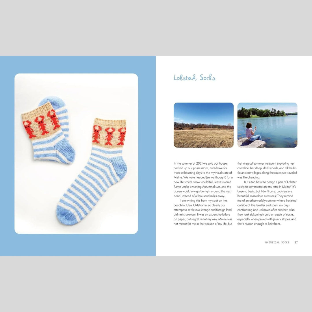 The Sock Obsession by Summer Lee