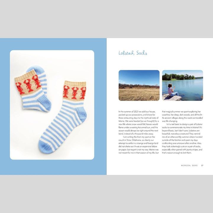 The Sock Obsession by Summer Lee