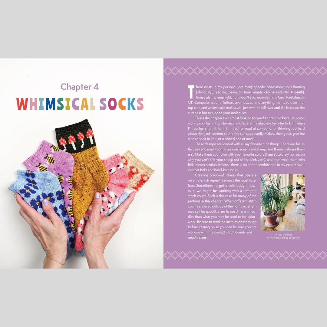 The Sock Obsession by Summer Lee
