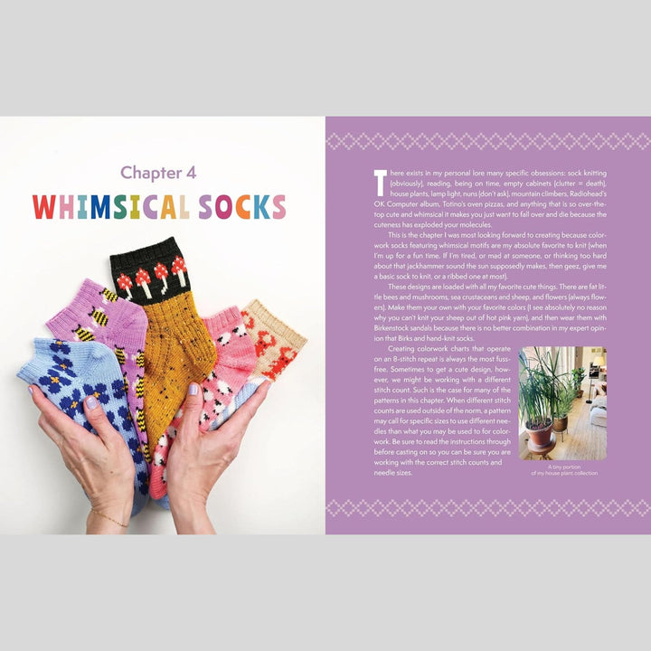 The Sock Obsession by Summer Lee