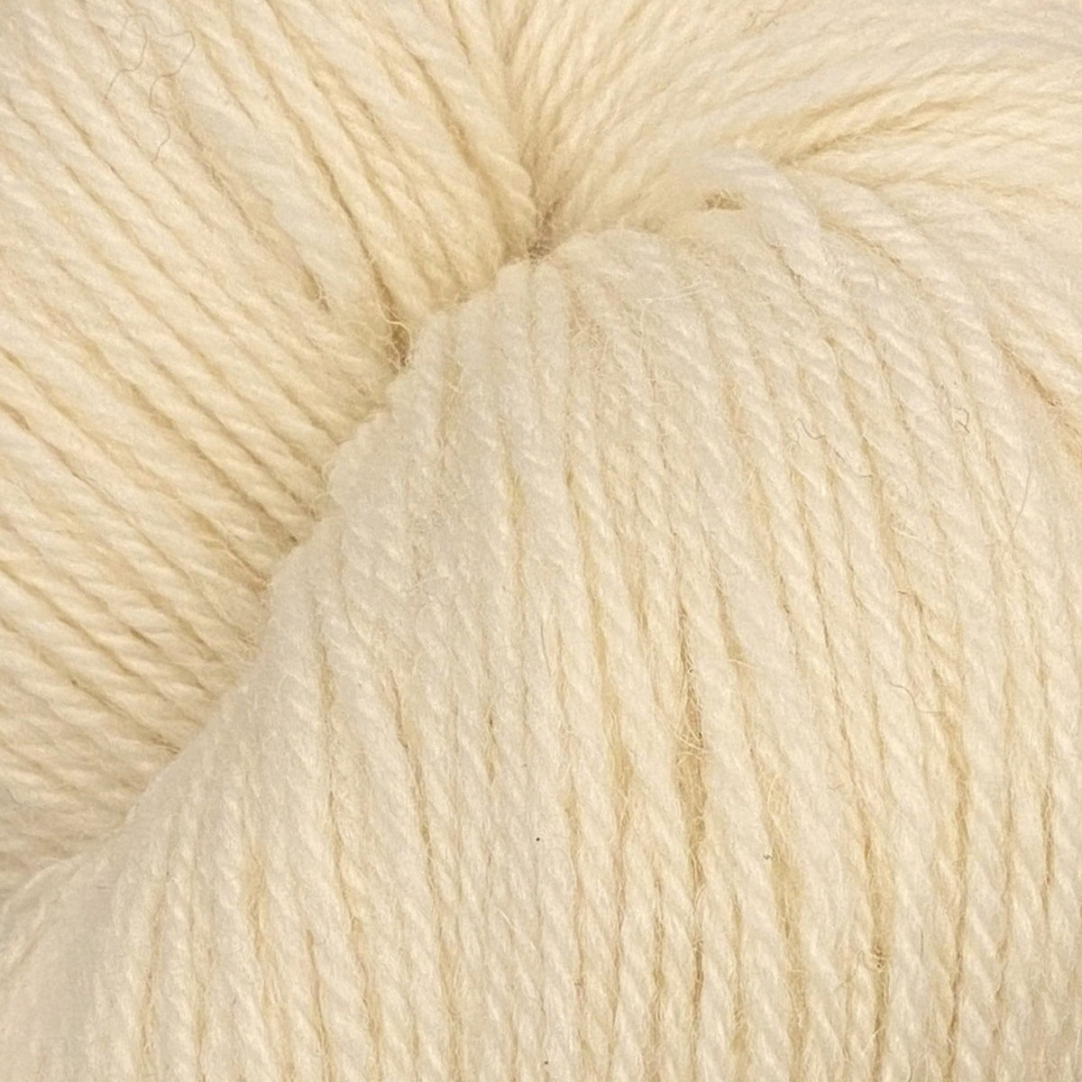 Coast by Baa Ram Ewe