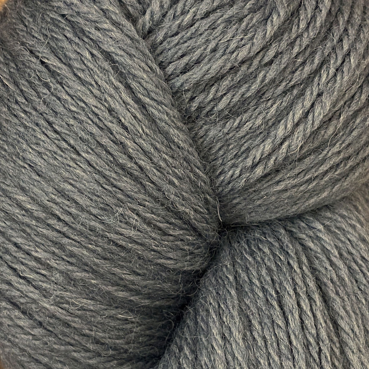 Coast by Baa Ram Ewe