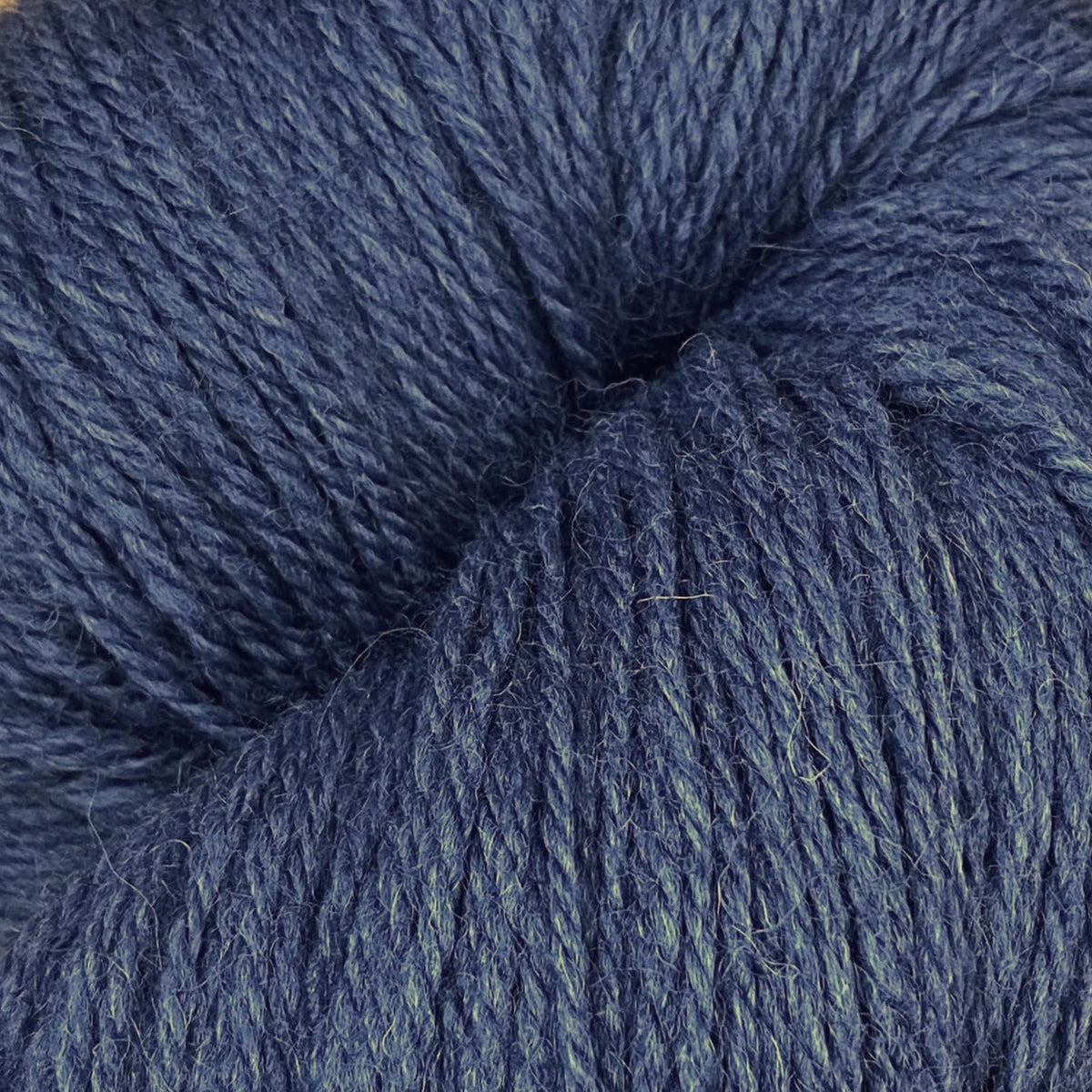 Coast by Baa Ram Ewe
