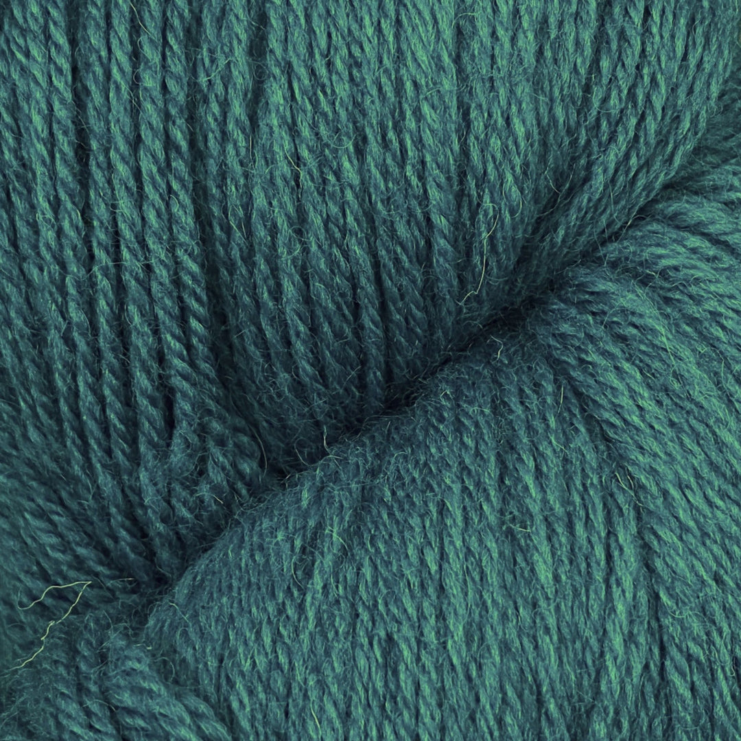 Coast by Baa Ram Ewe