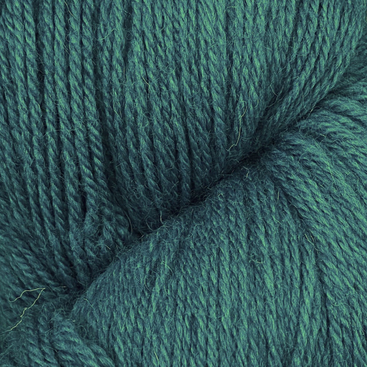Coast by Baa Ram Ewe
