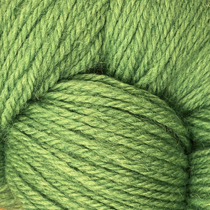 Coast by Baa Ram Ewe