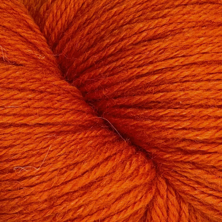 Coast by Baa Ram Ewe