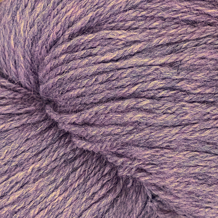 Coast by Baa Ram Ewe
