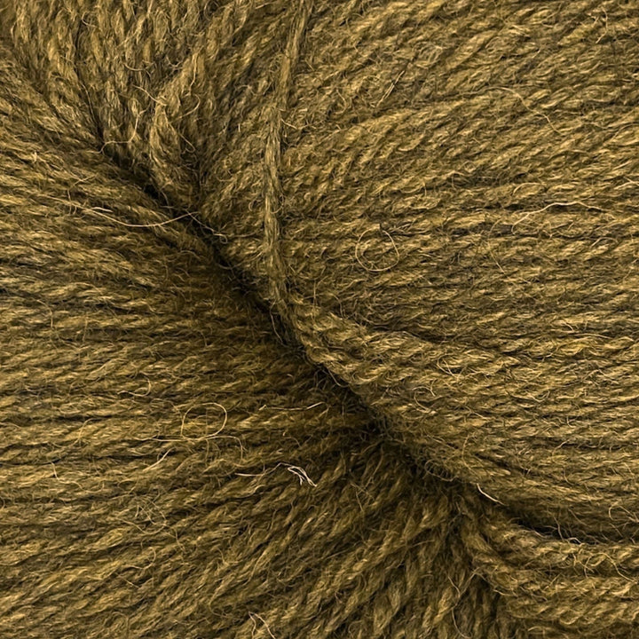Coast by Baa Ram Ewe