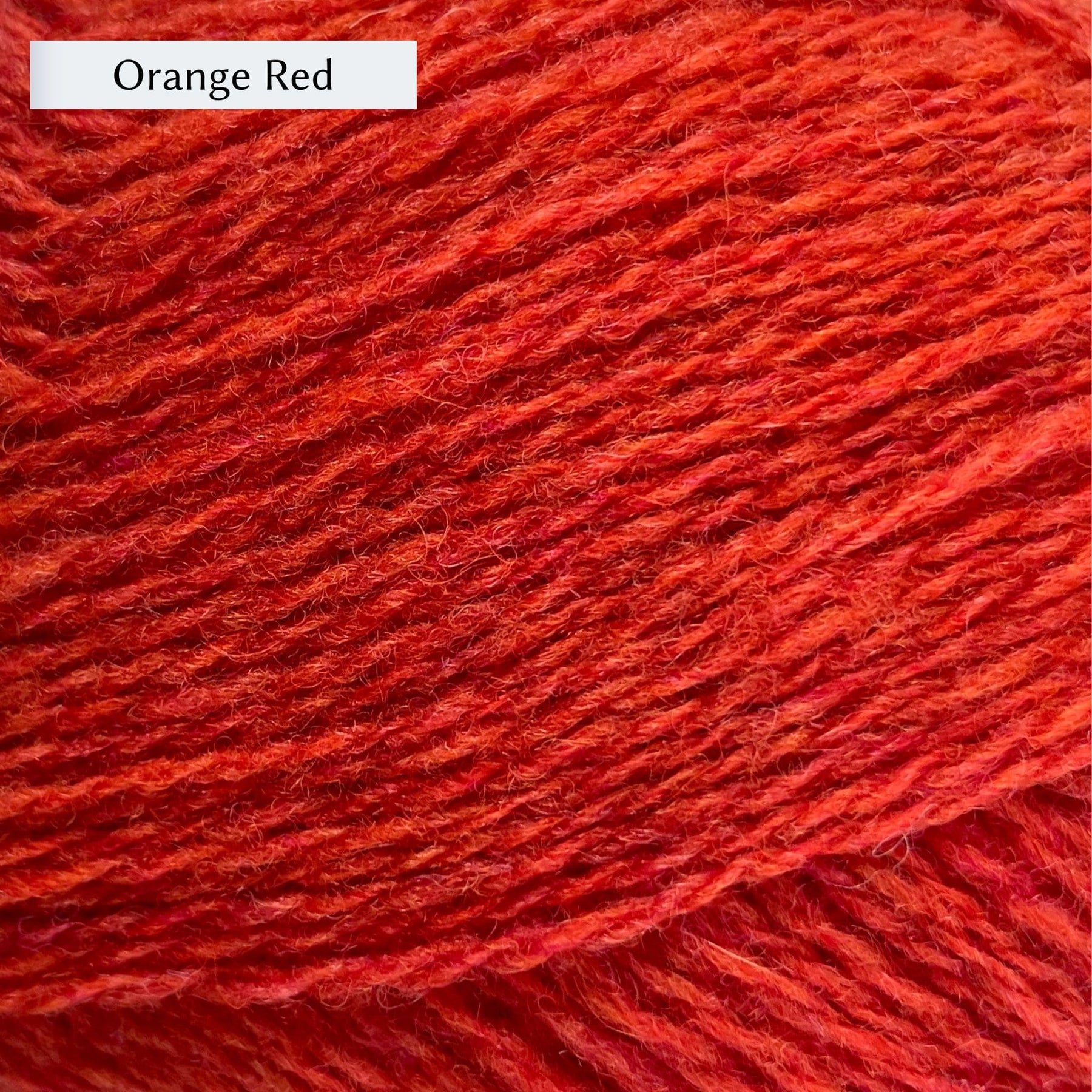 Bitache Color Biches & Bûches Le Petit Lambswool – The Woolly Thistle