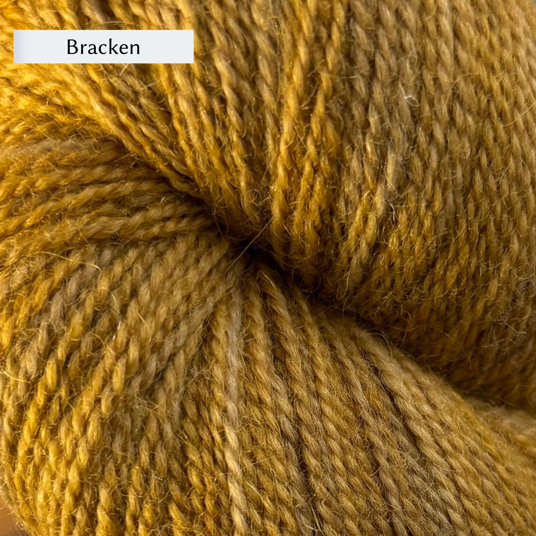 Killen Sock – The Woolly Thistle