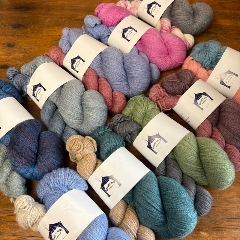 Circus Tonic Handmade Homeward Bound Sport Sock