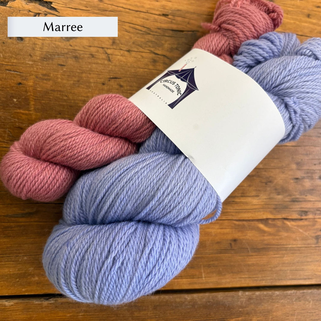 Circus Tonic Handmade Homeward Bound Sport Sock