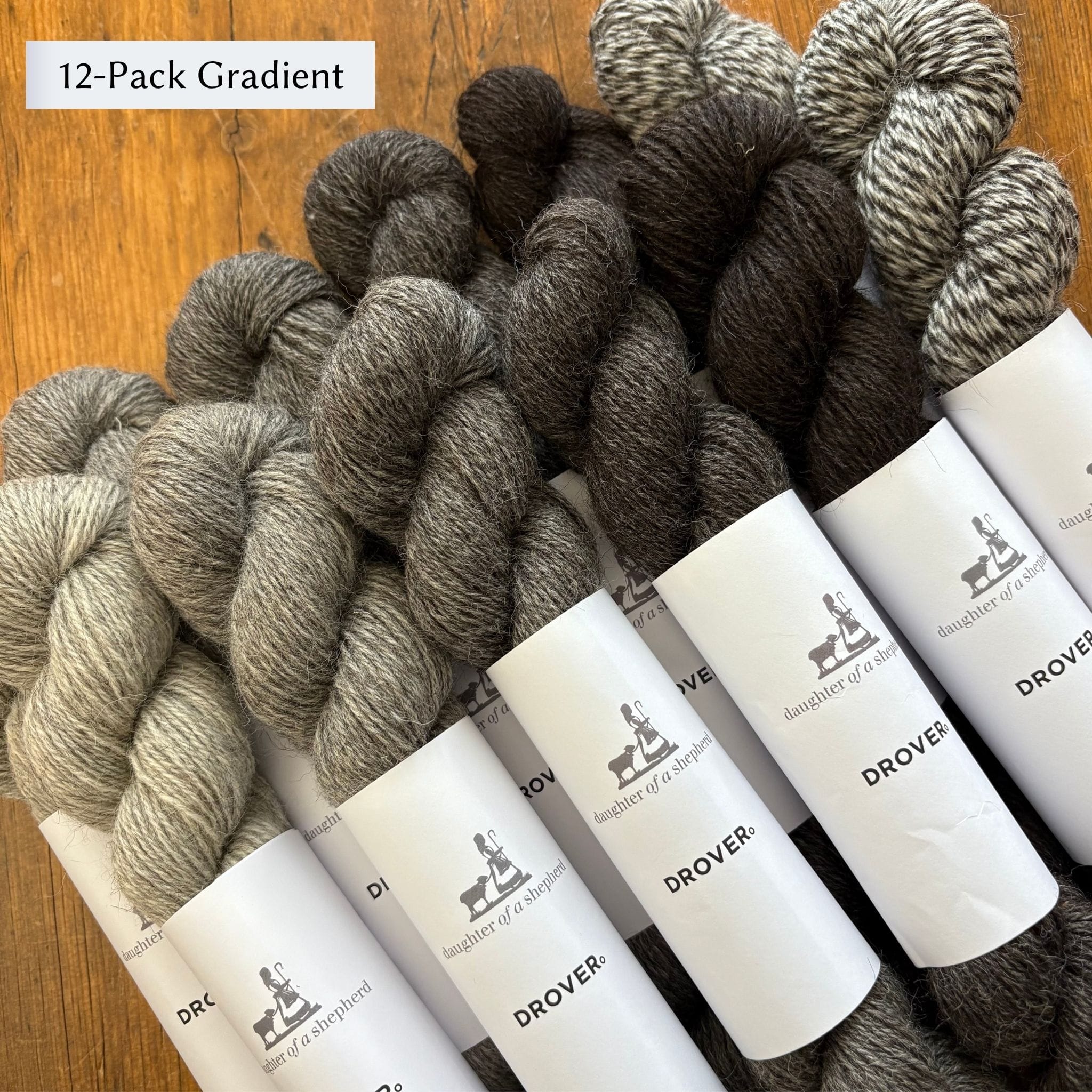 Daughter of a Shepherd Drover Sock Yarn