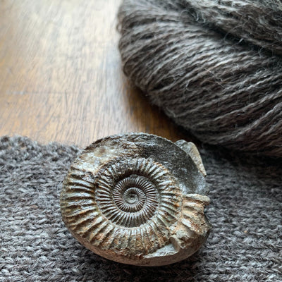 3-Pack Ammonite, Brume, Heritage