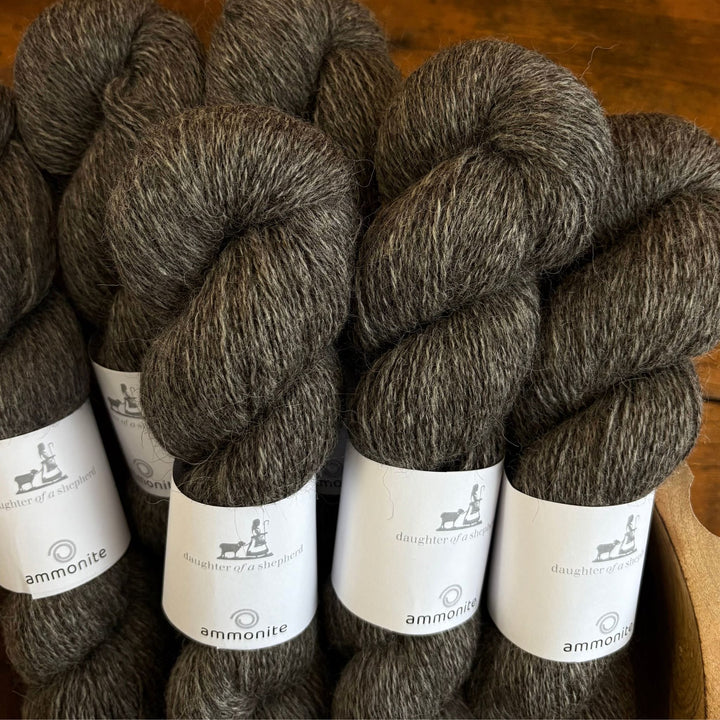 Ammonite 4ply