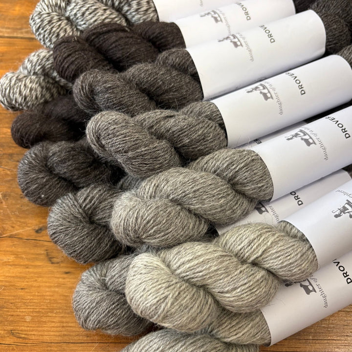 Daughter of a Shepherd Drover Sock Yarn