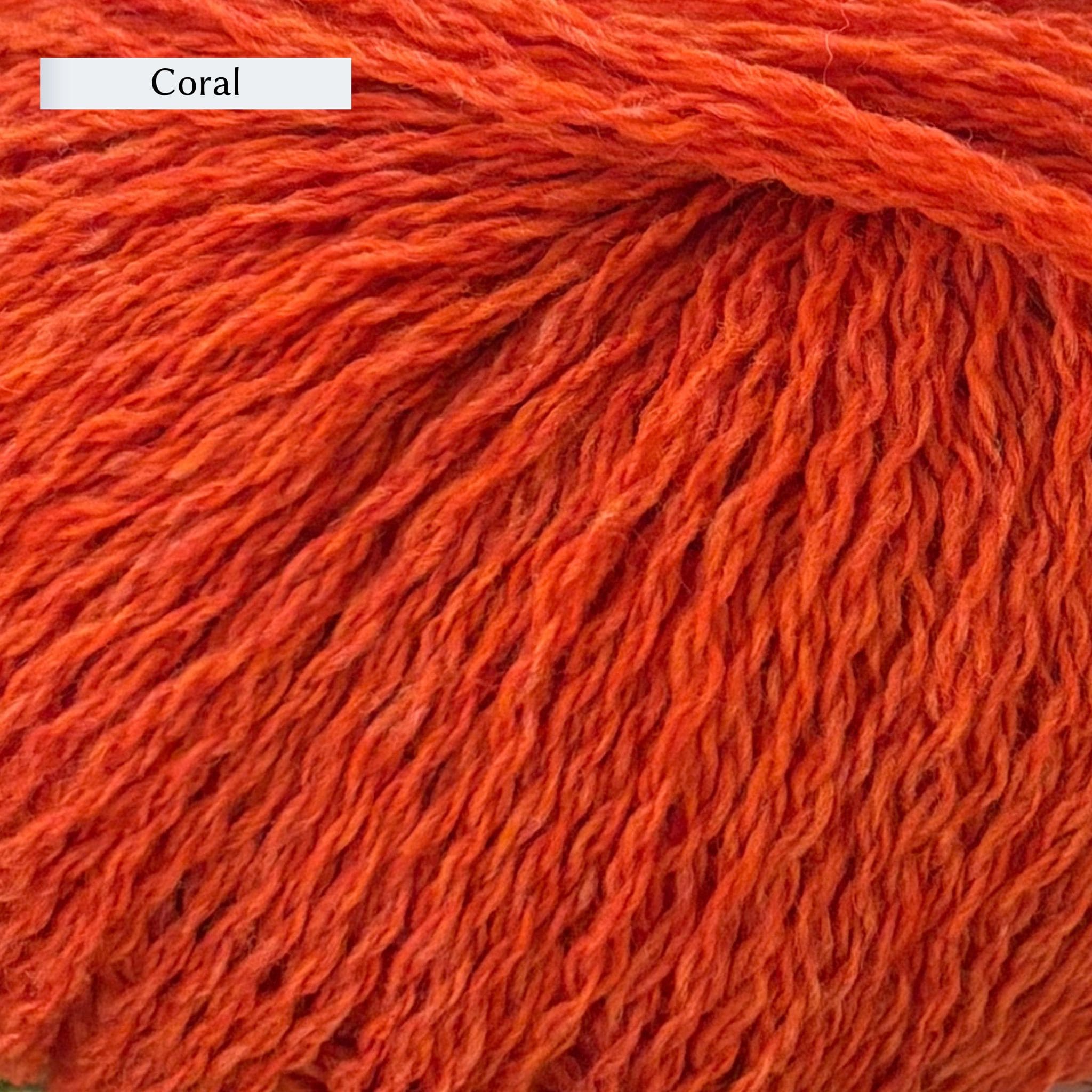 Di Gilpin Lalland DK – The Woolly Thistle