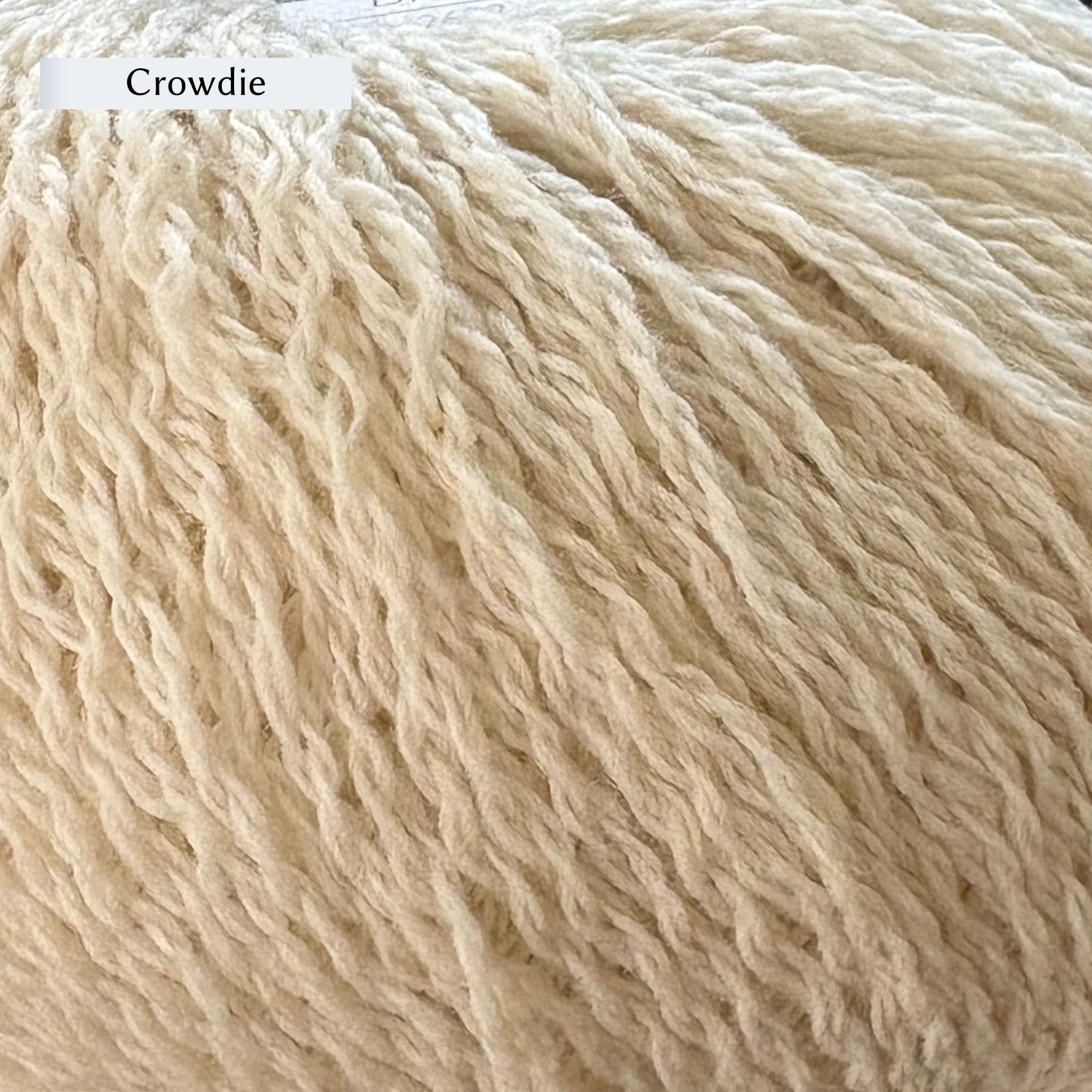 Di Gilpin Lalland DK – The Woolly Thistle