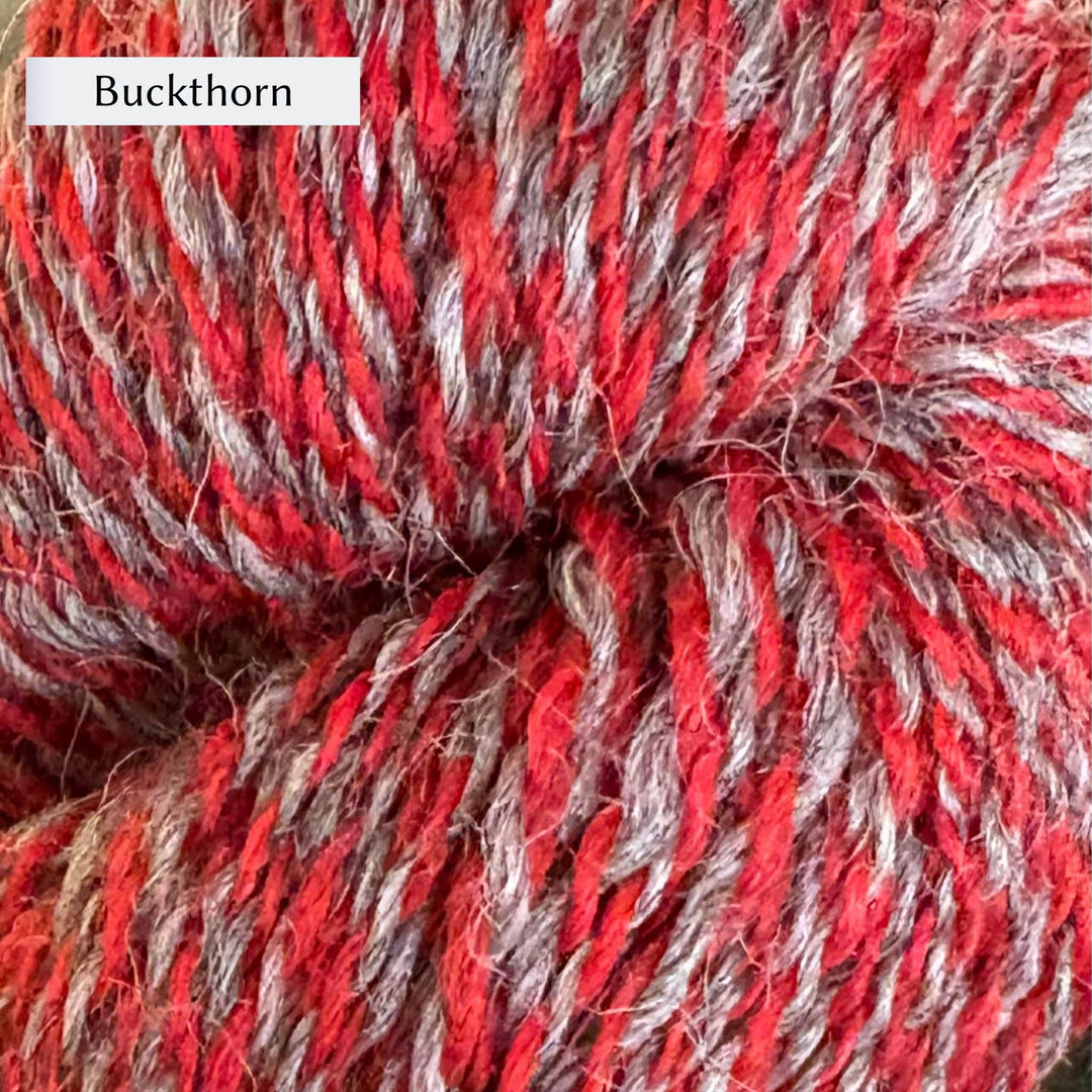 Garthenor Snowdonia Sock Yarn