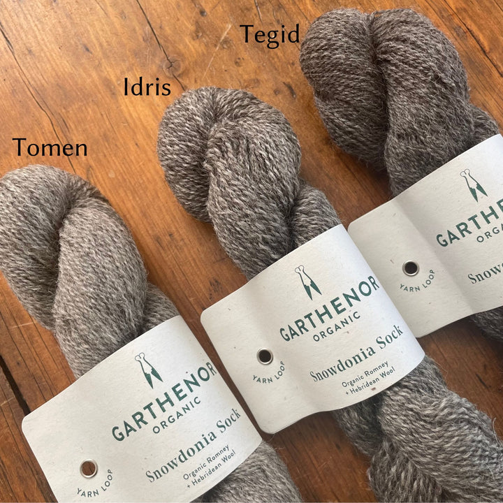 Garthenor Snowdonia Sock Yarn