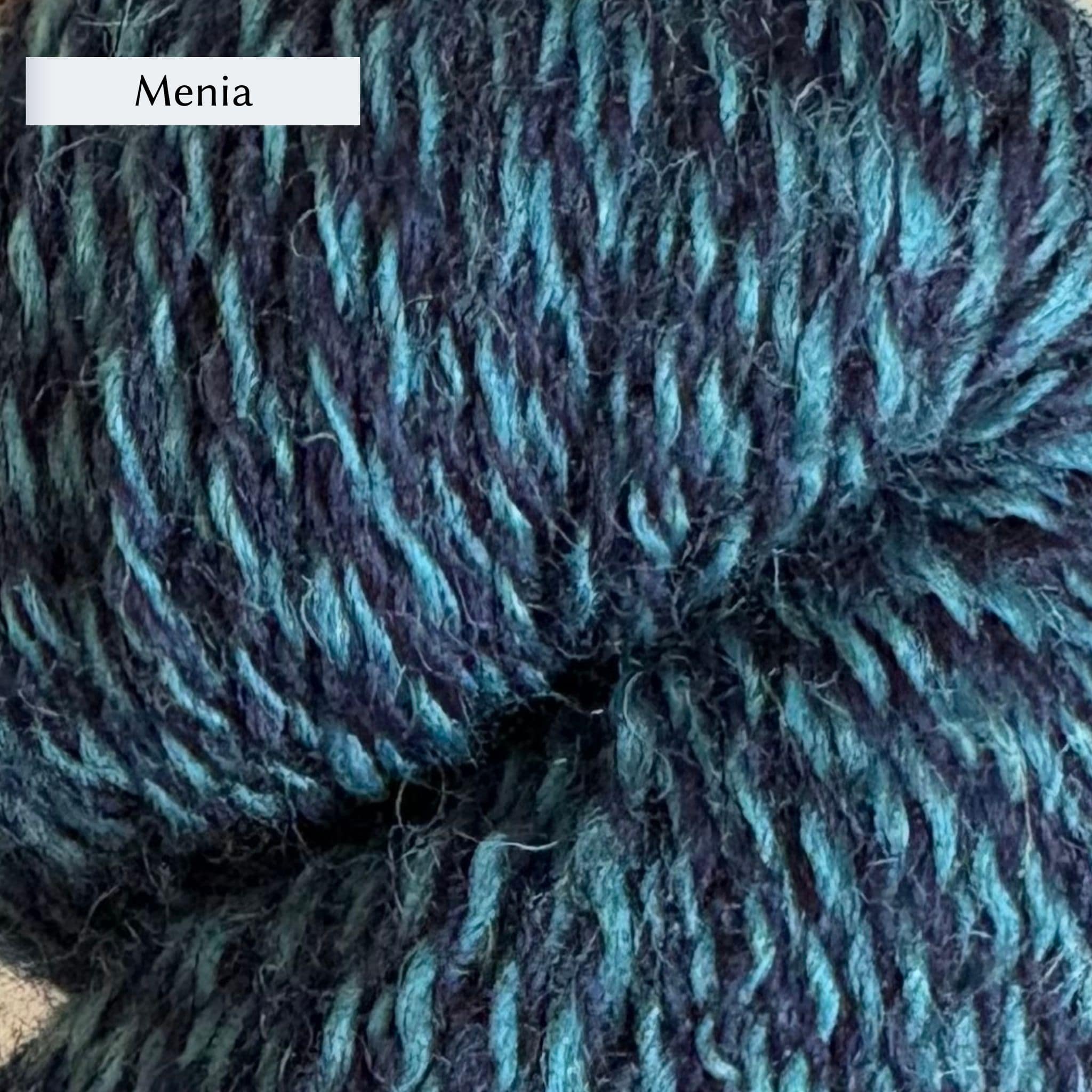 Garthenor Snowdonia Sock Yarn – The Woolly Thistle
