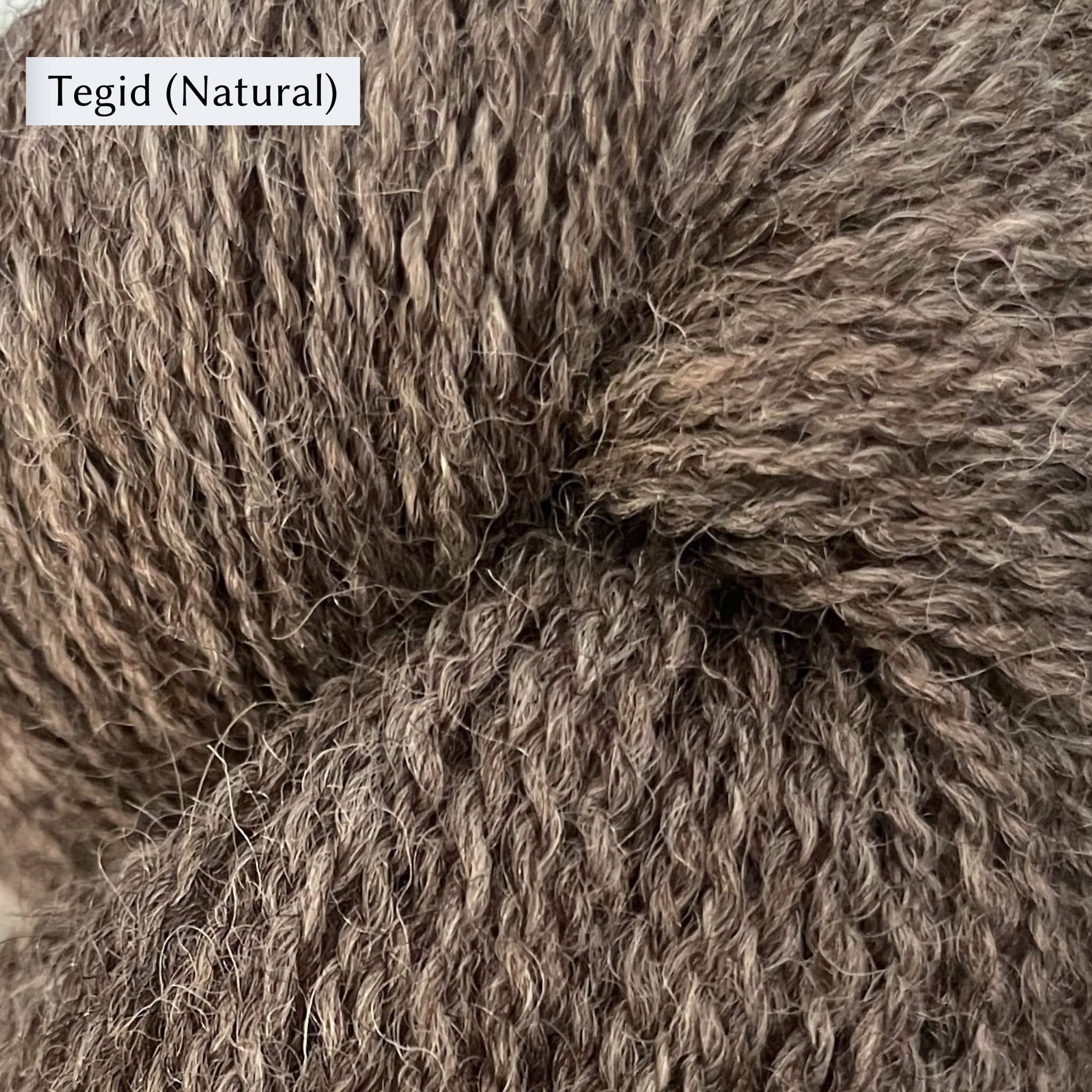 Garthenor Snowdonia Sock Yarn – The Woolly Thistle