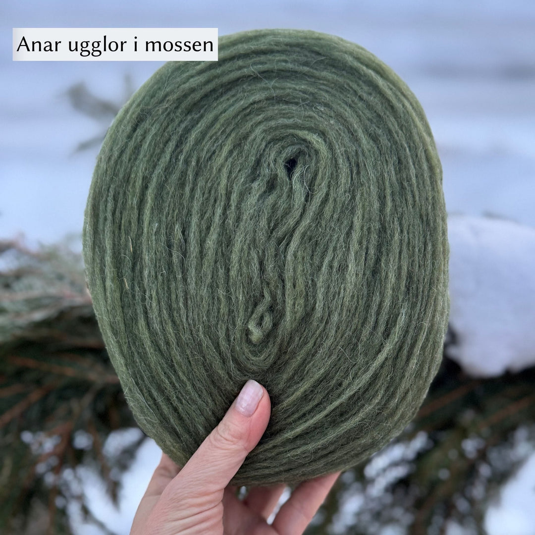 Höner och Eir Nutiden
