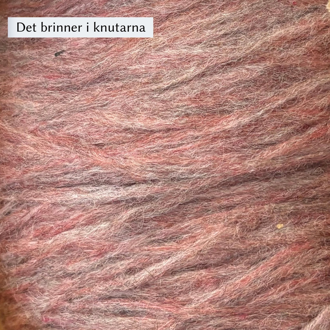 Höner och Eir Nutiden