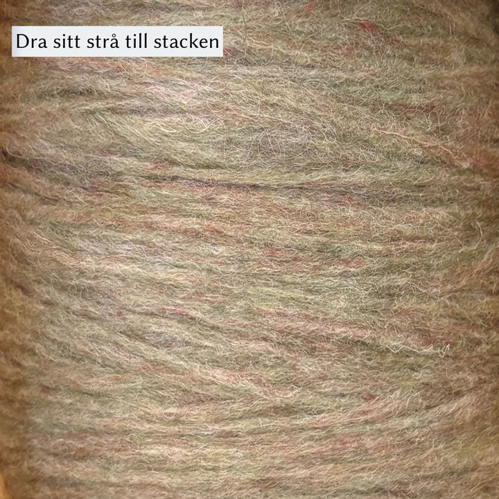 Höner och Eir Nutiden
