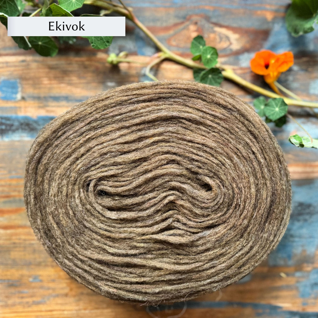 Höner och Eir Nutiden