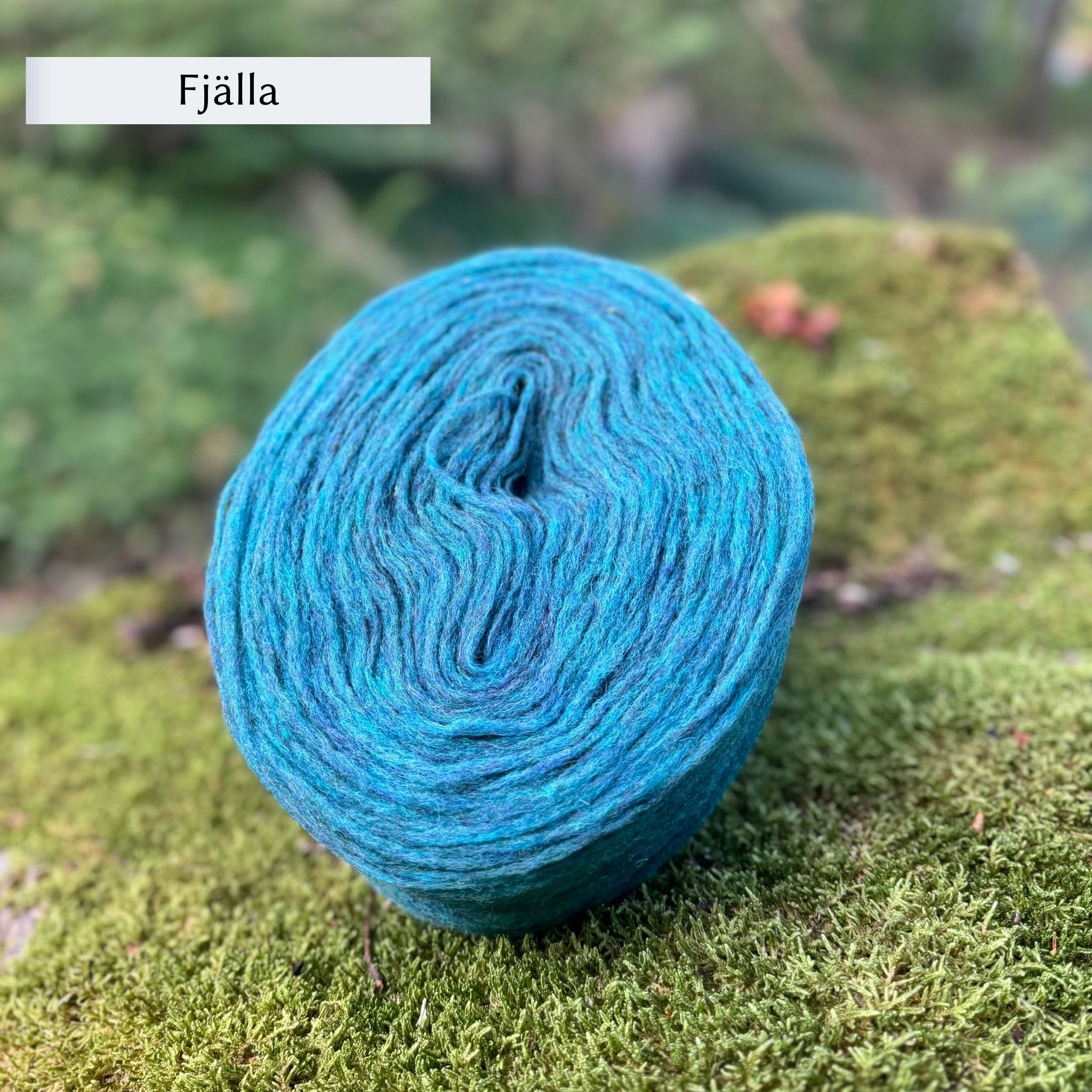 Höner och Eir Nutiden