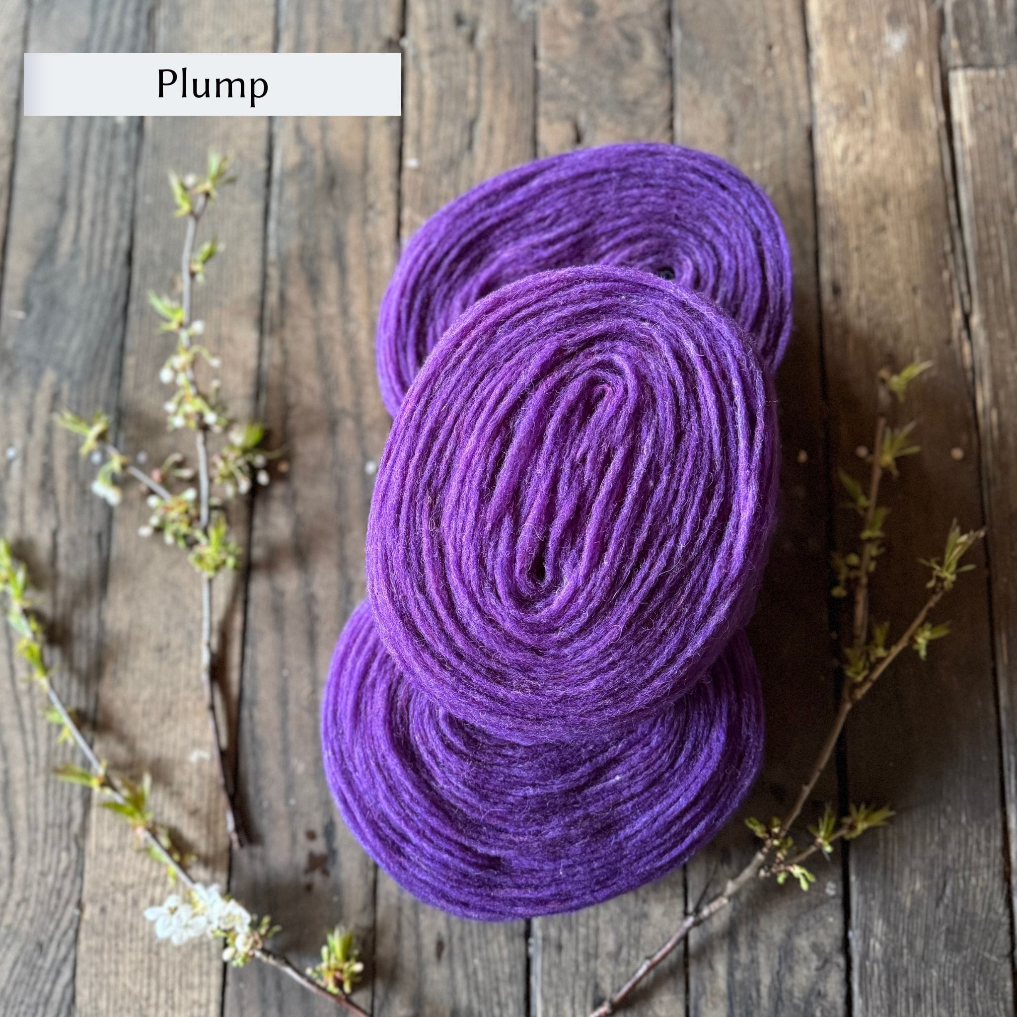 Höner och Eir Nutiden