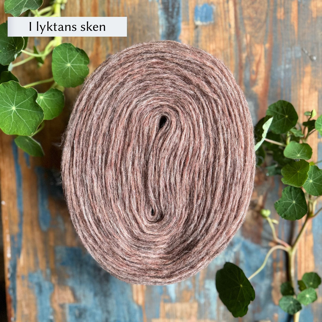 Höner och Eir Nutiden