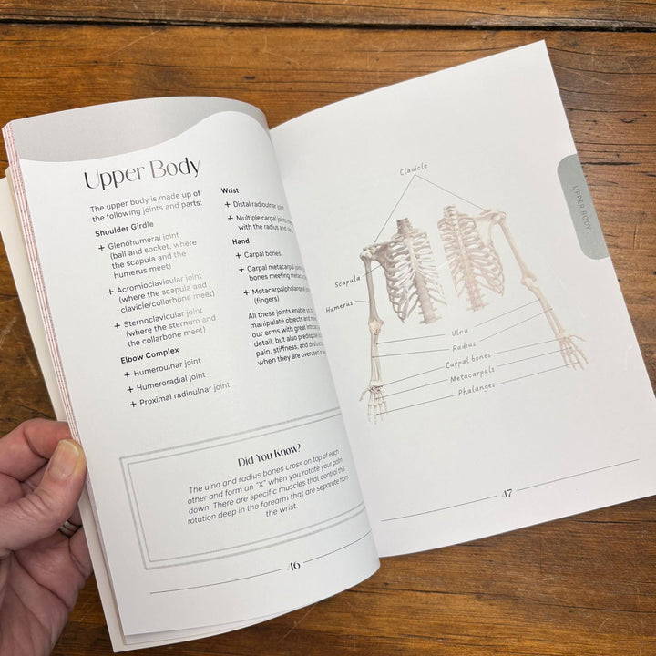 Craft Without Pain: Injury Prevention and Self-Care for Knitters and Other Makers by Andrea Lui
