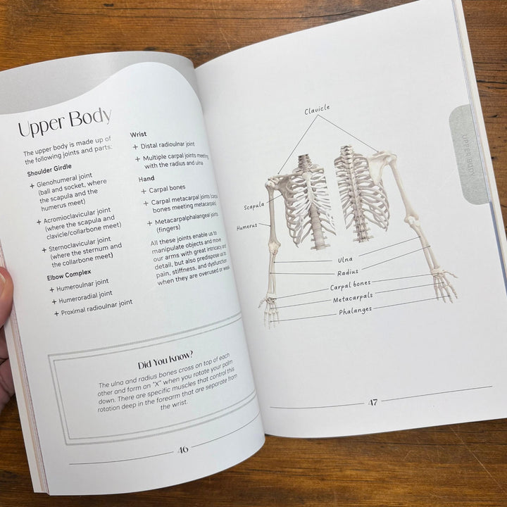 Craft Without Pain: Injury Prevention and Self-Care for Knitters and Other Makers by Andrea Lui